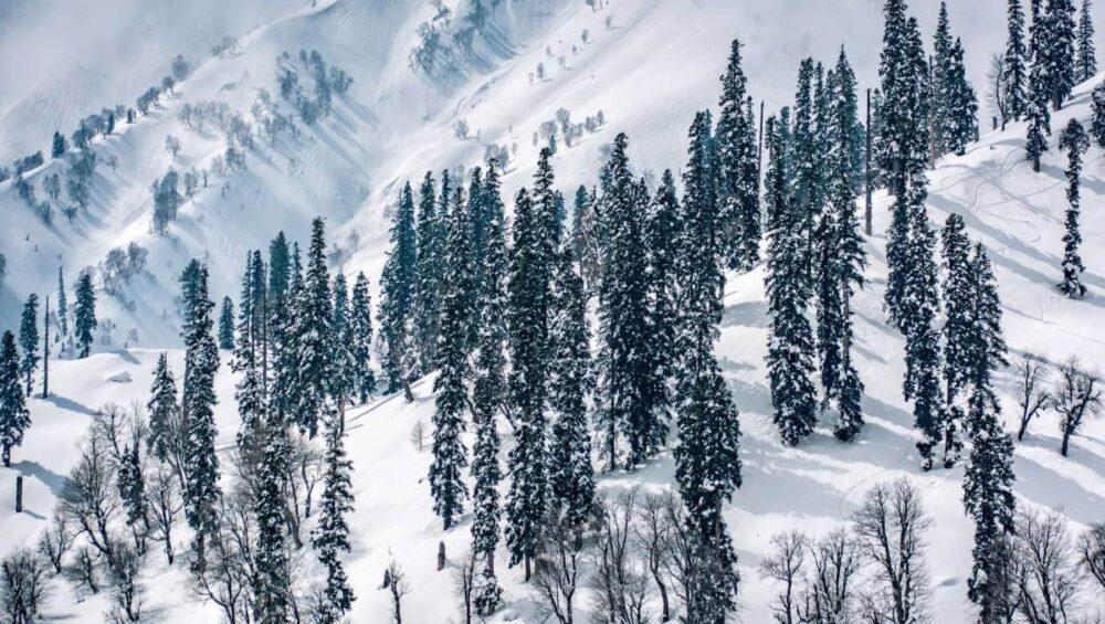Kashmir Tour