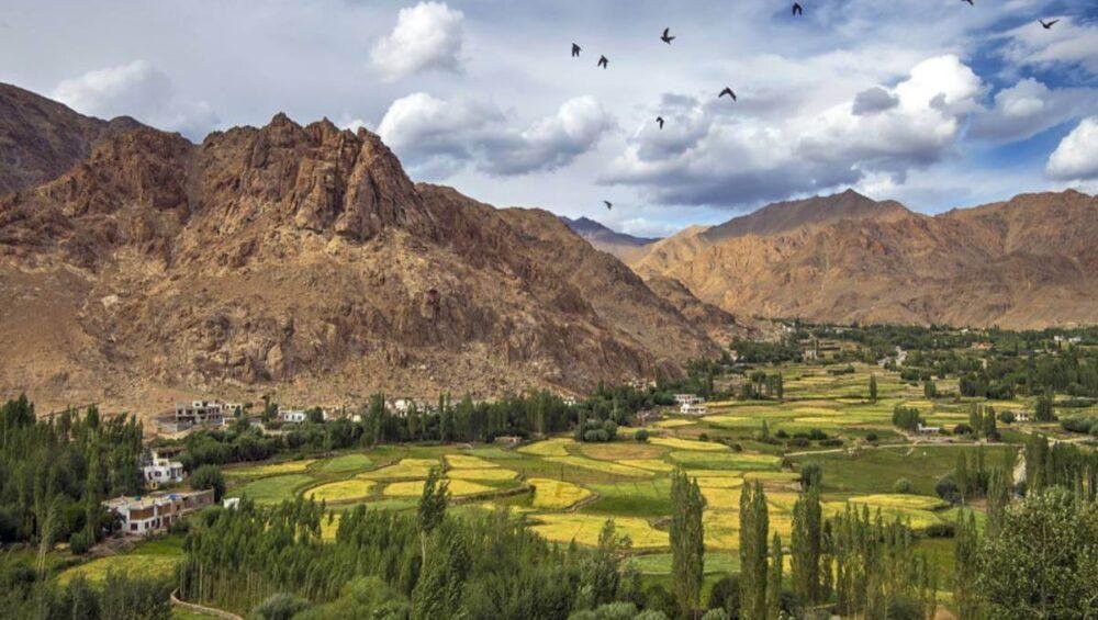 Ladakh Tour