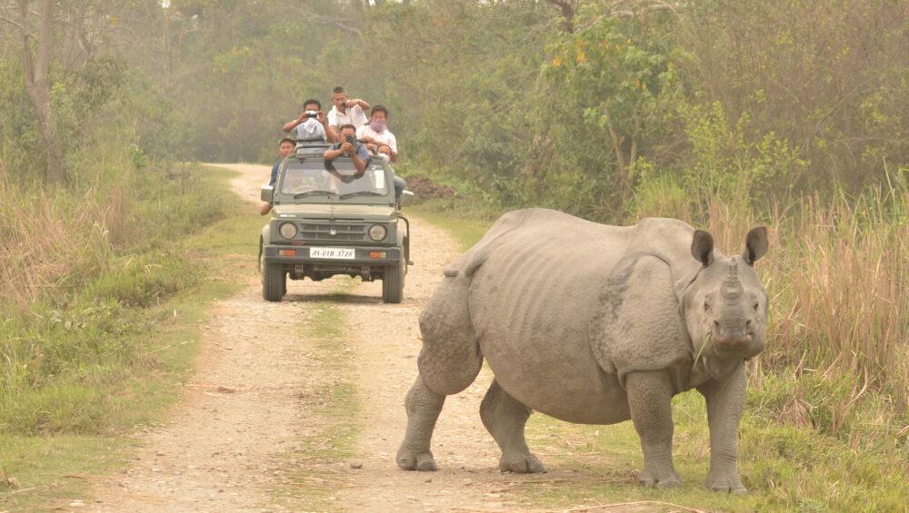 Kaziranga National Park In Assam Is The Largest Home Of Rhinos
