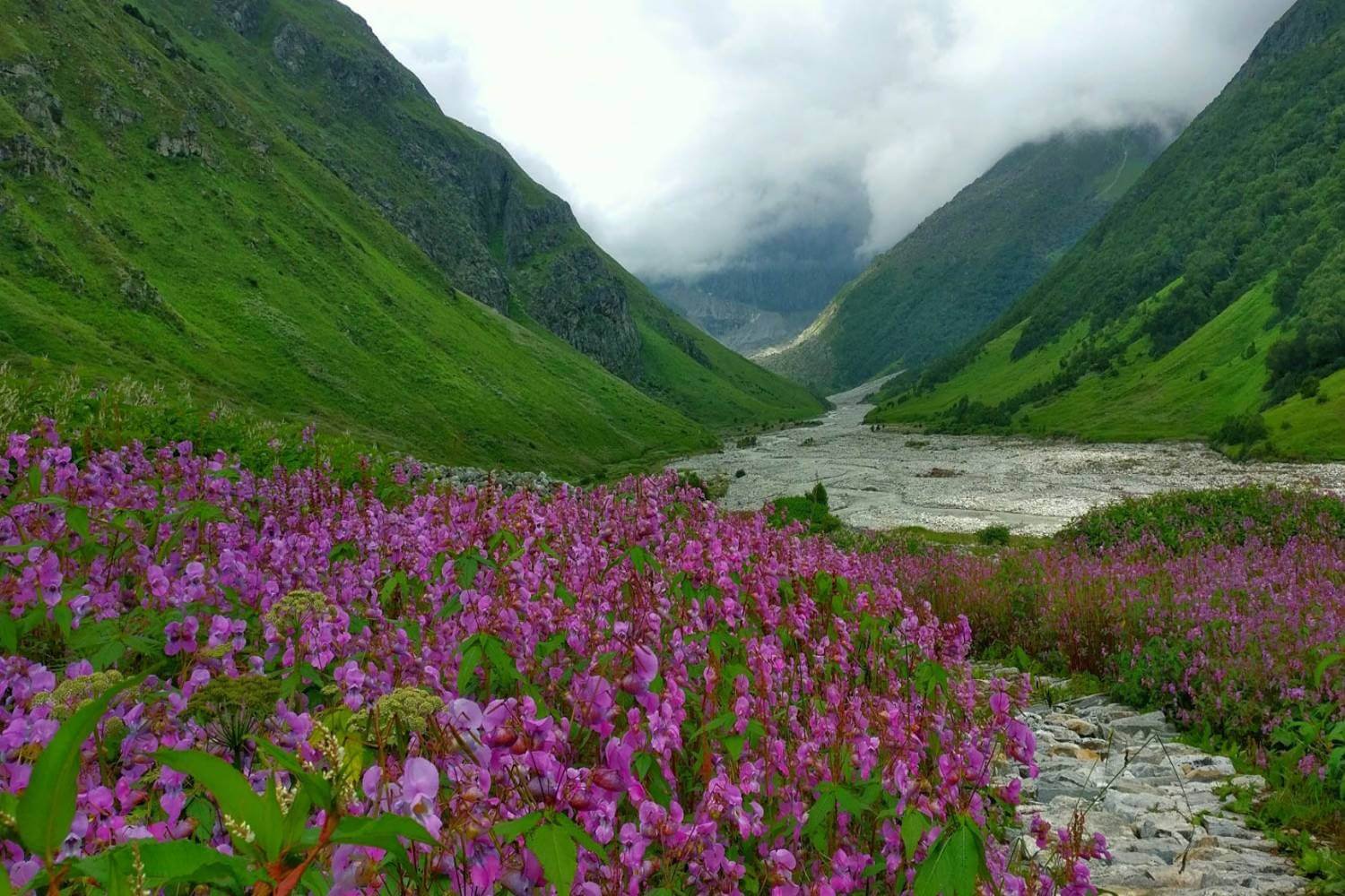 Valley of Flowers Trek Travle Blog