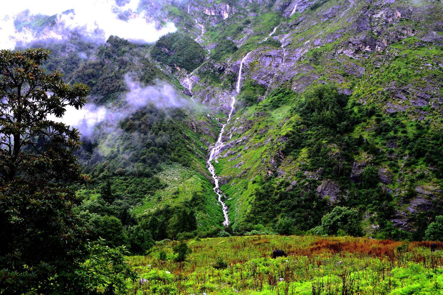 Ghangaria Uttarakhand