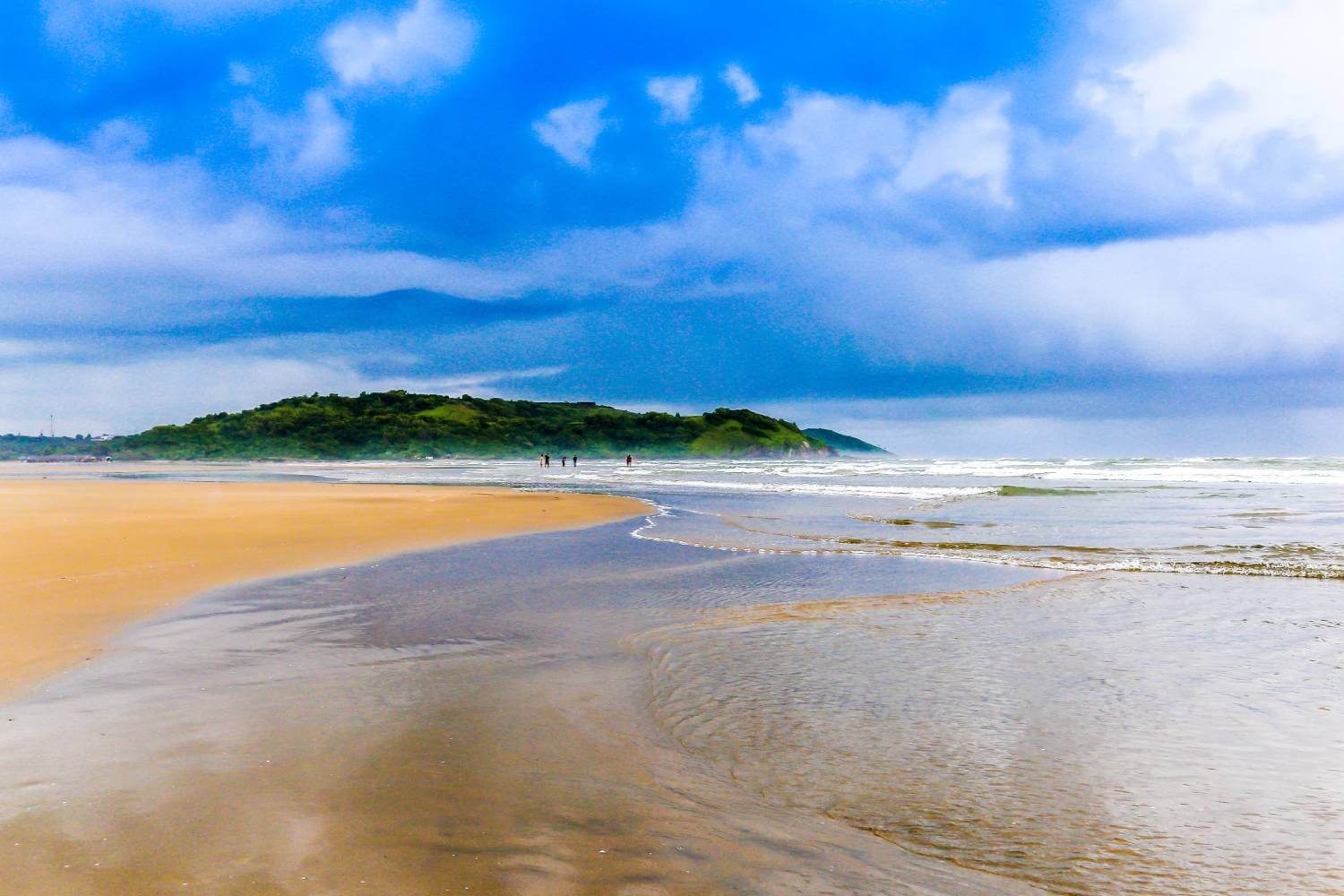 Morjim Beach, Goa