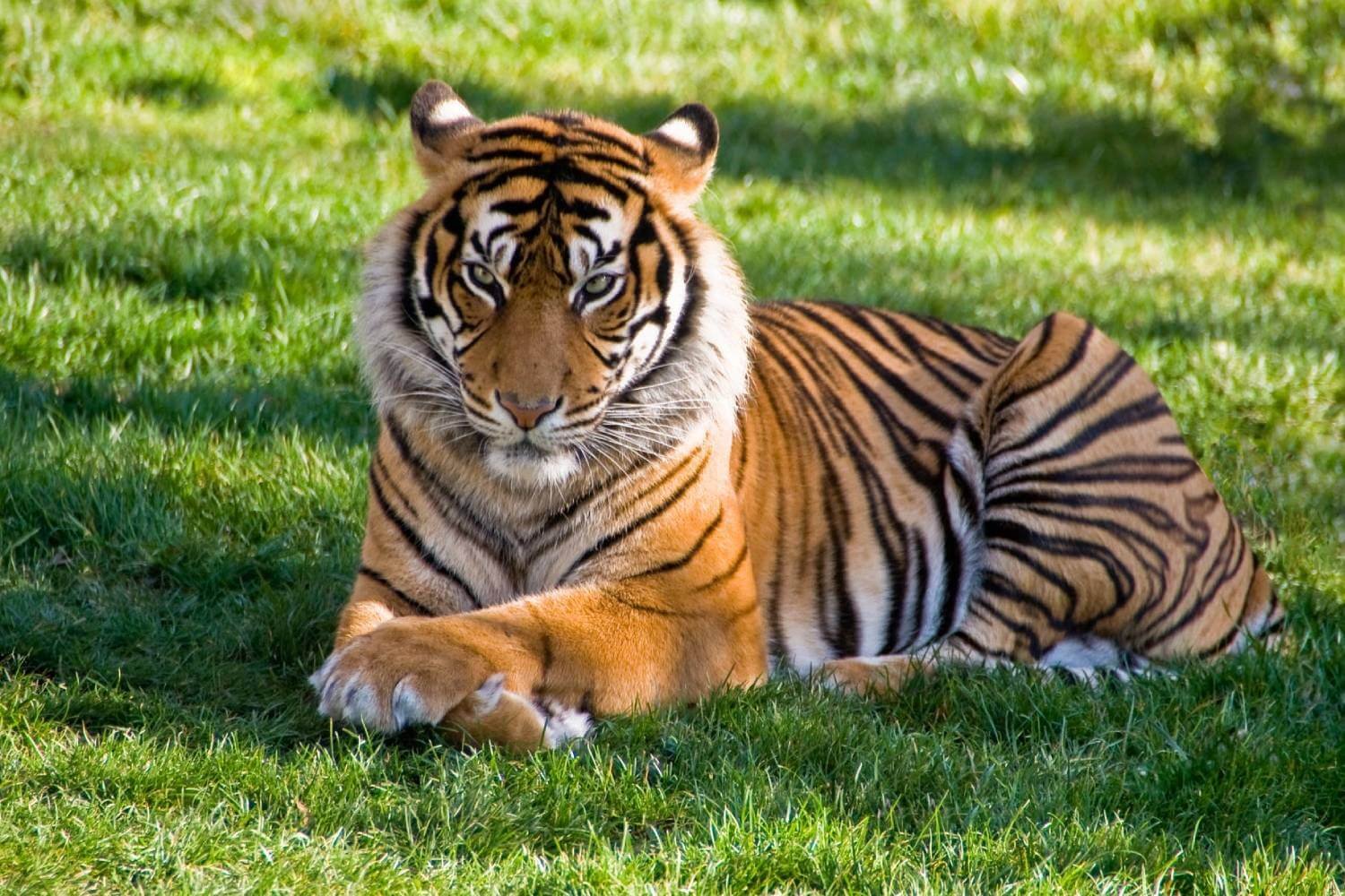 Ranthambore Tiger Reserve Rajasthan