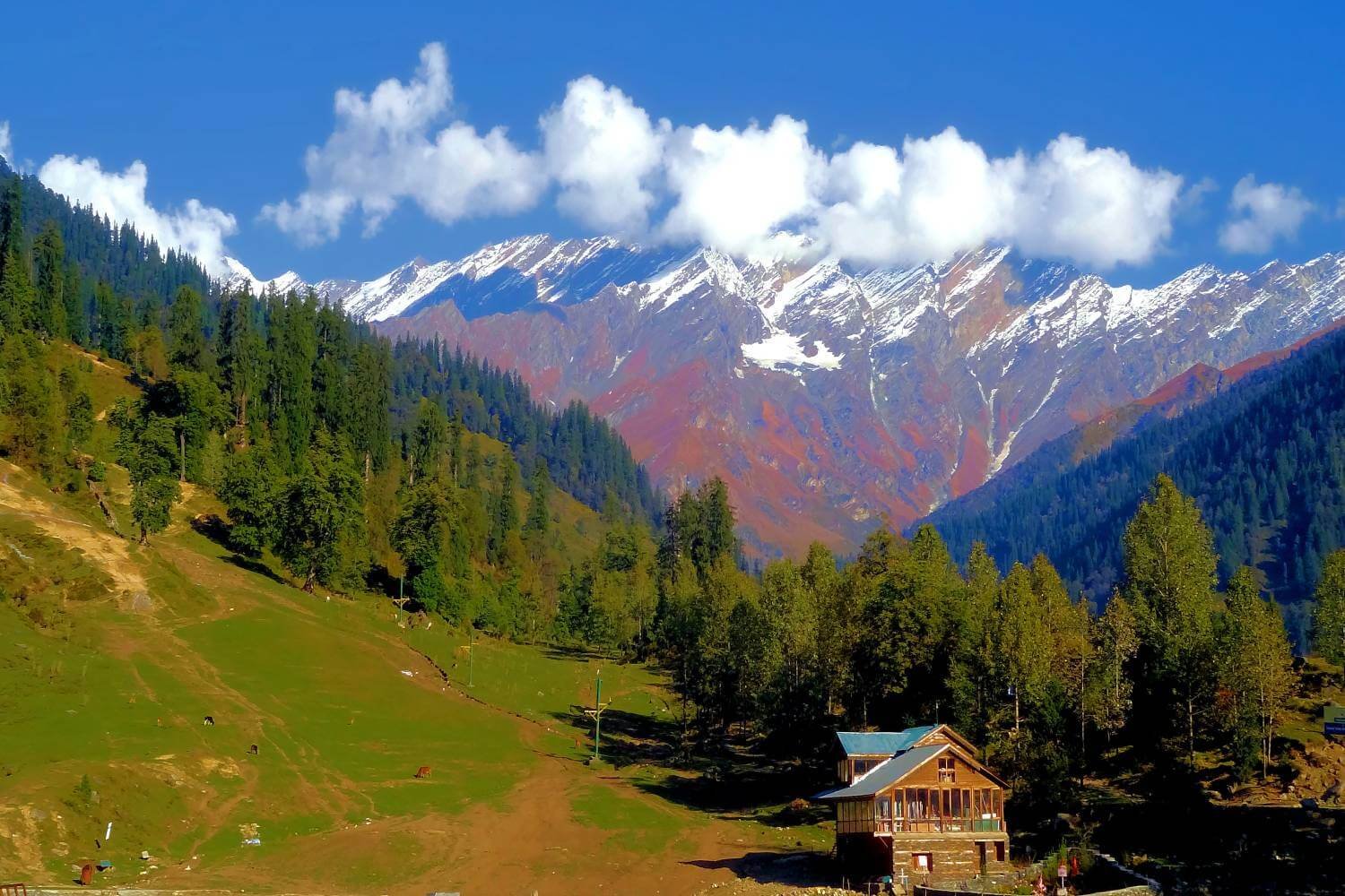 Solang Valley in Manali Himachal