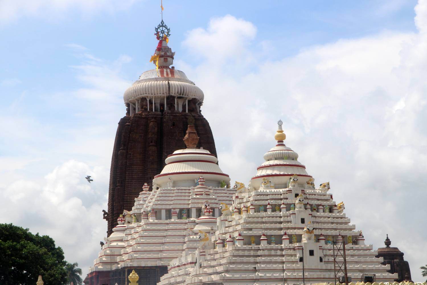Jagannath Temple Puri Odisha
