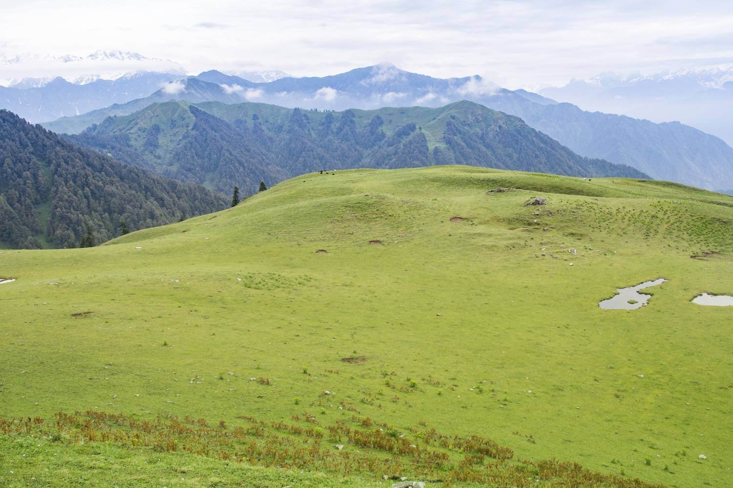 Dayara Bugyal Uttarakhand