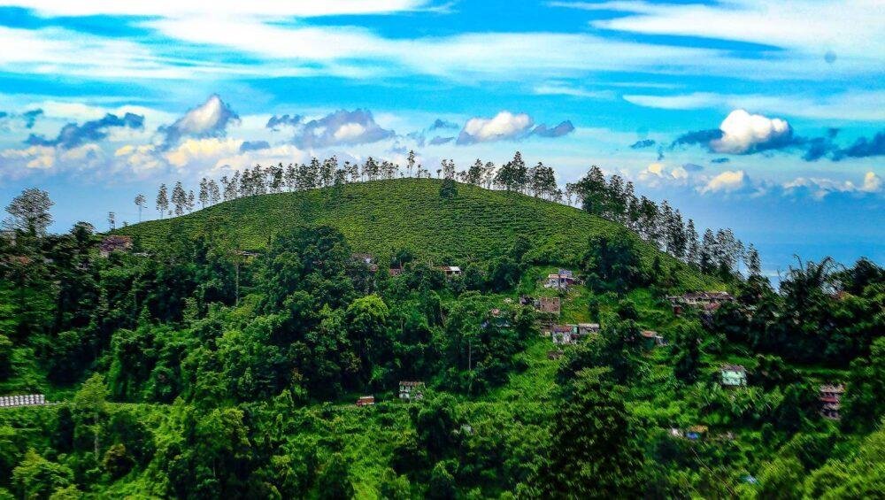 Darjeeling West Bengal
