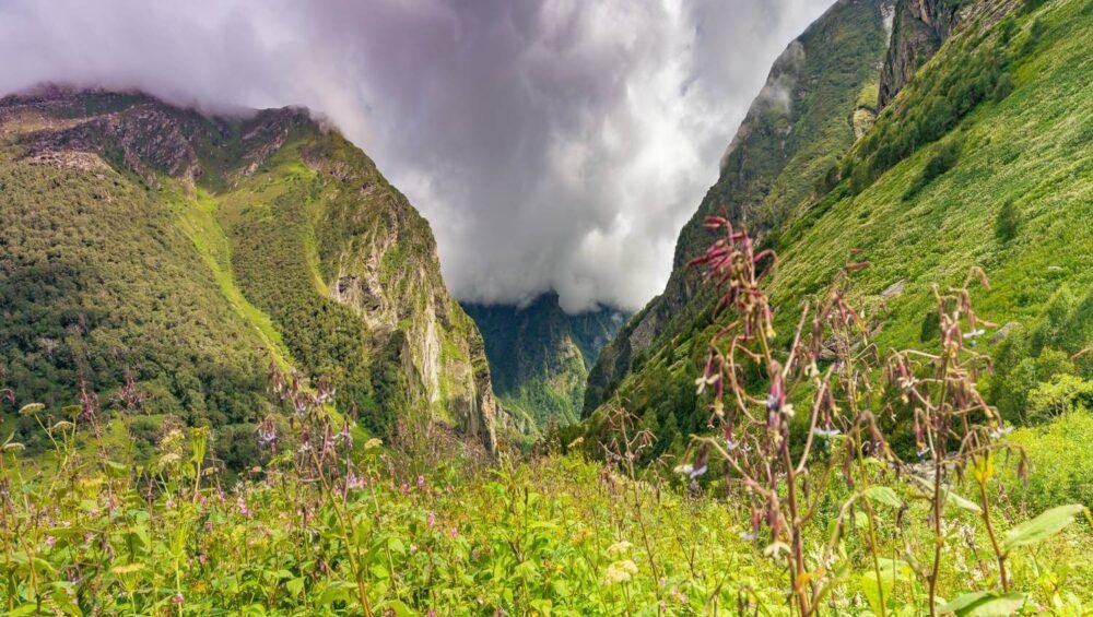 Valley of Flowers Trek