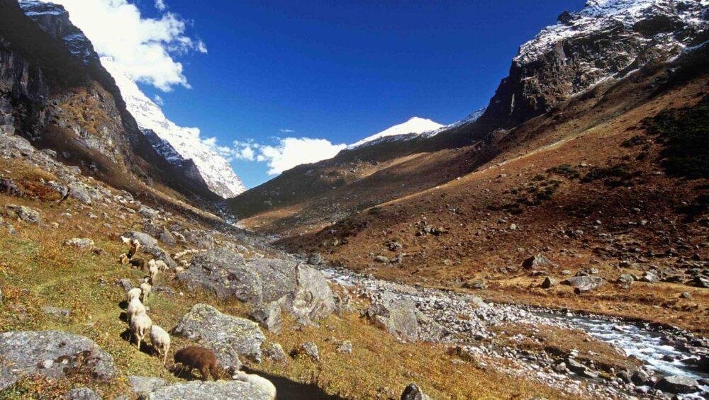 Deo Tibba Trek