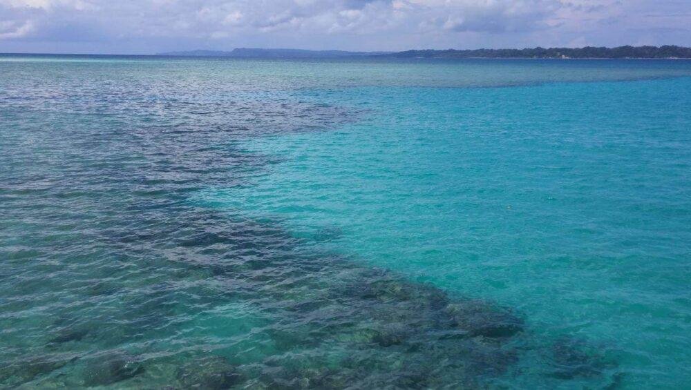 Neil Island Andaman Tourism