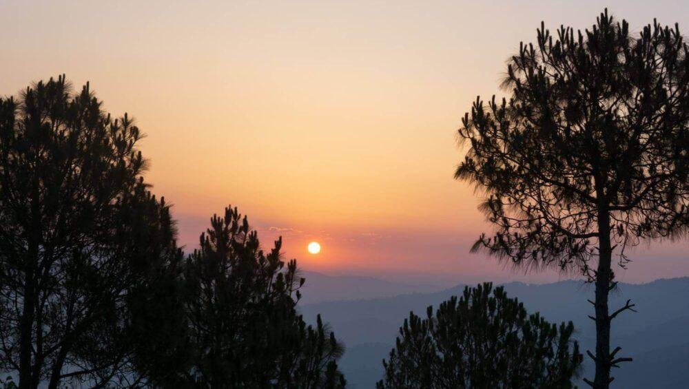 Ranikhet Tour