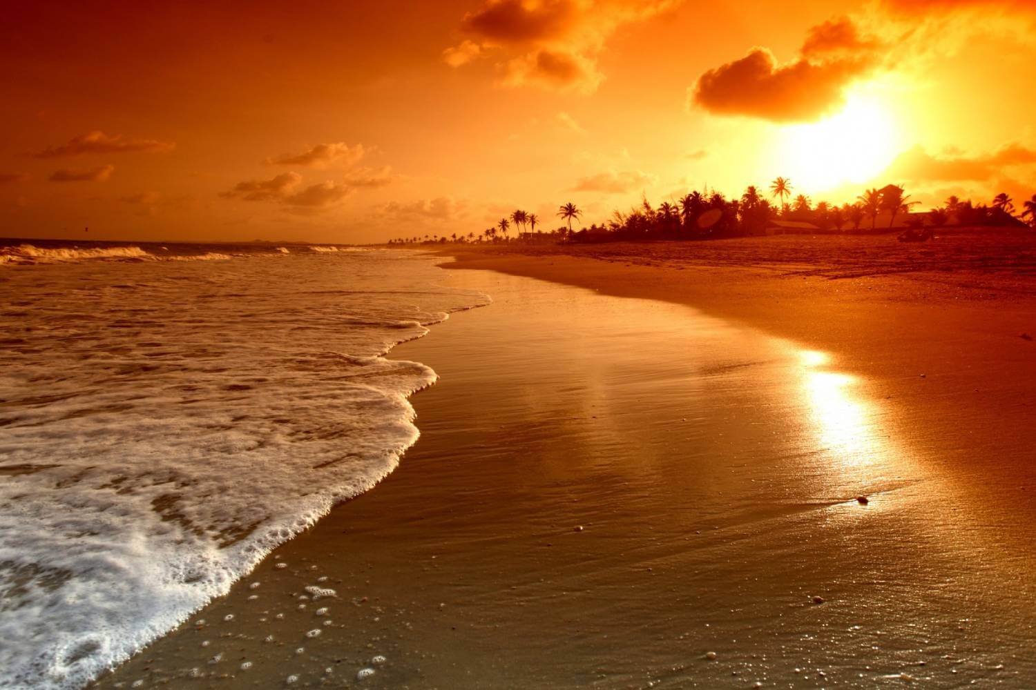 Beaches