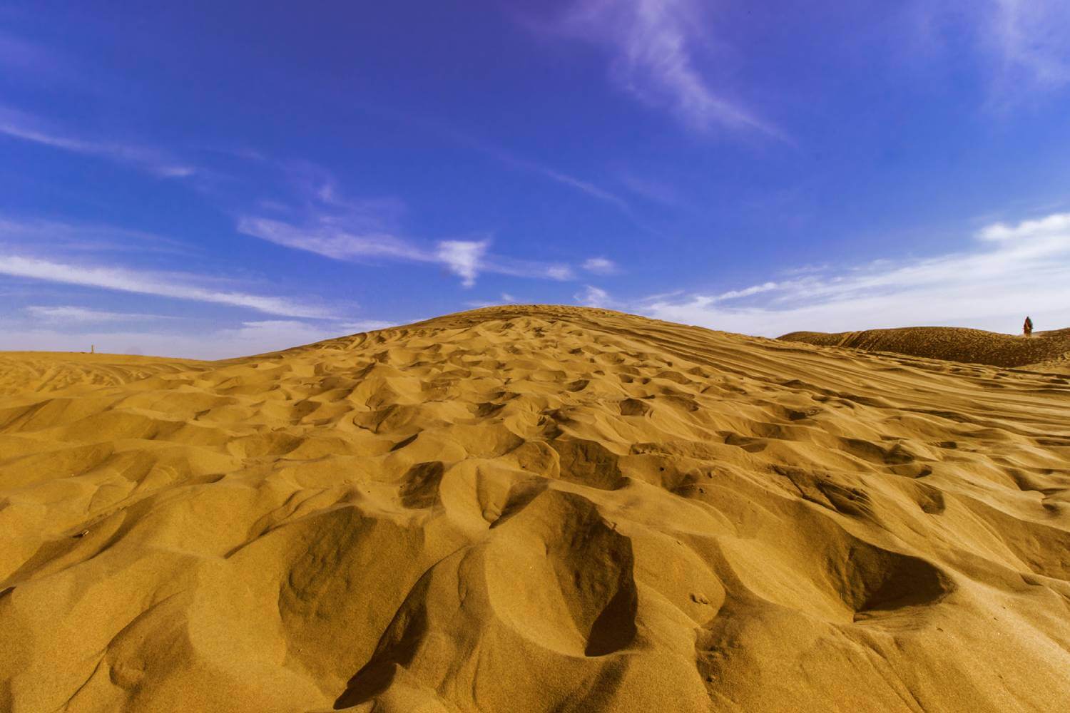 Sam Sand Dunes Jaisalmer