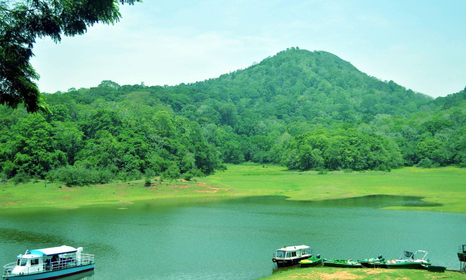 Thekkady Kerala