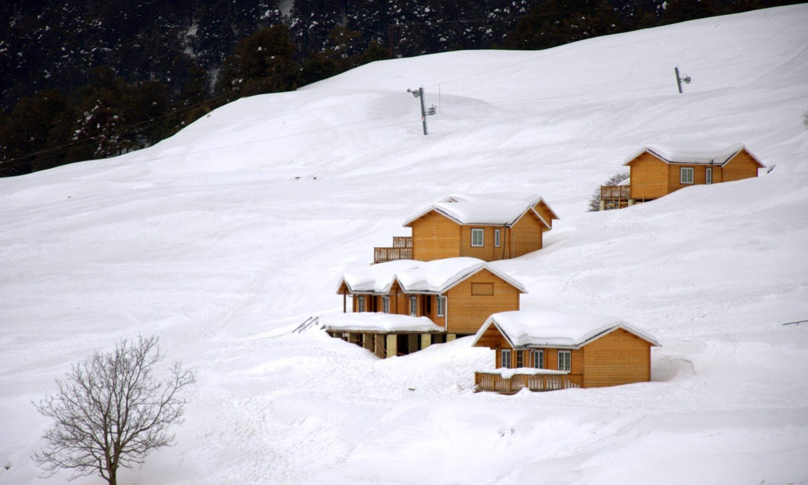 Huts Resort in Auli Uttarakhand