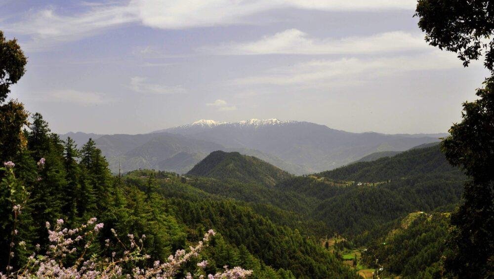 Chail Tourism Himachal