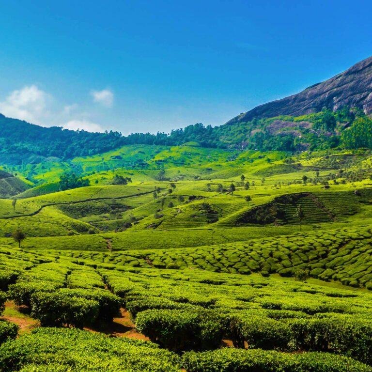 Munnar Tourism Kerala