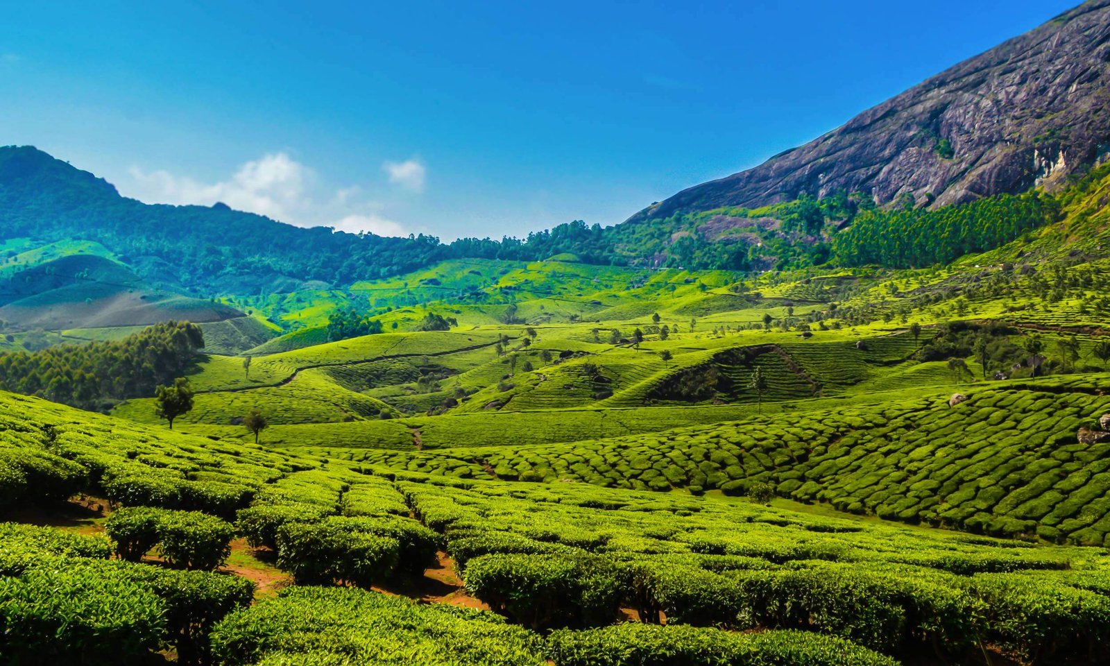 16 Best Places To Visit In Munnar Hill Station In Kerala Bon Travel India 16 Best Places To Visit In Munnar Hill Station In Kerala Bon Travel India