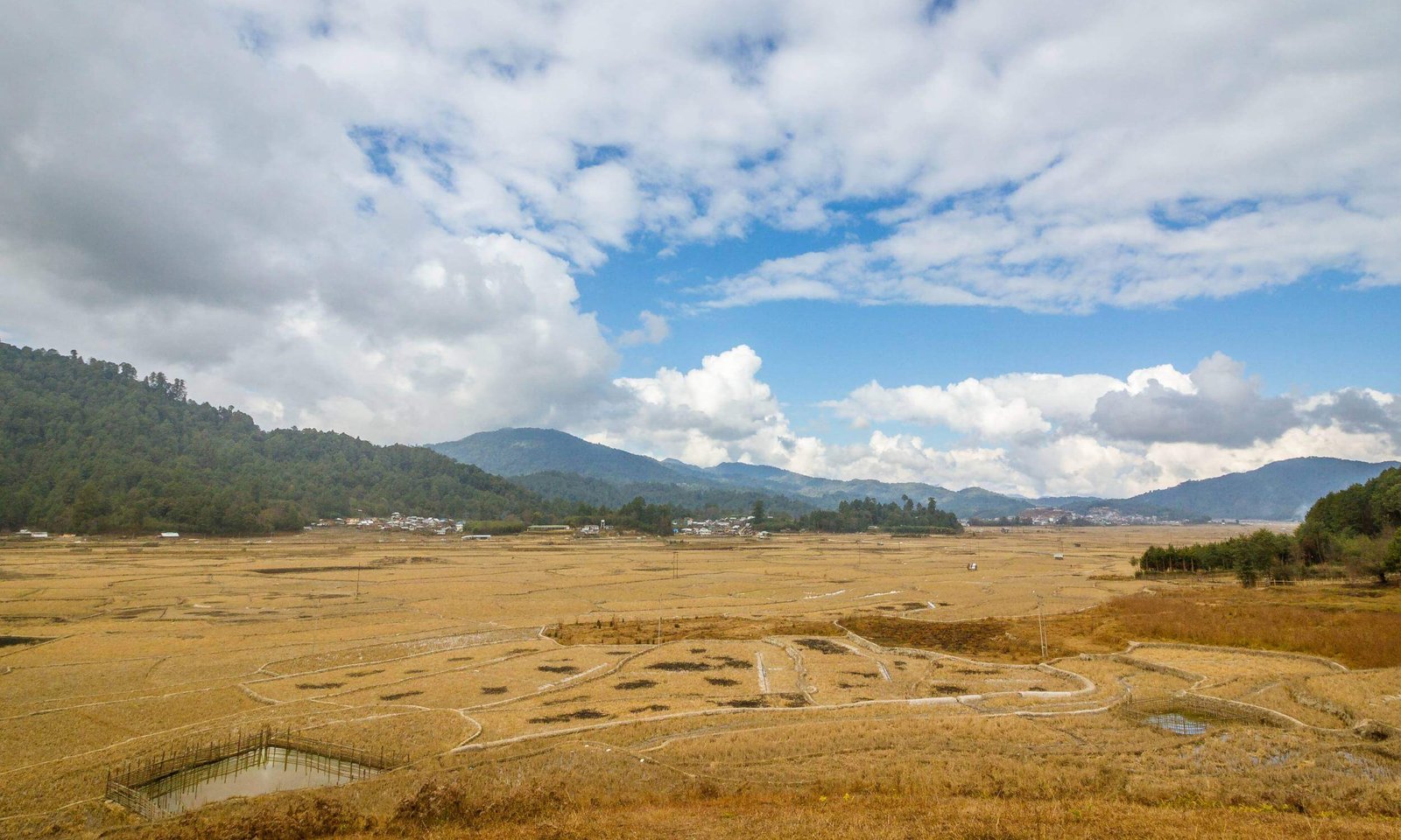 Ziro Valley Arunachal