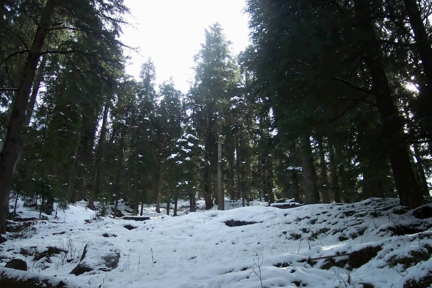 Khajjair Snow Tourist Places