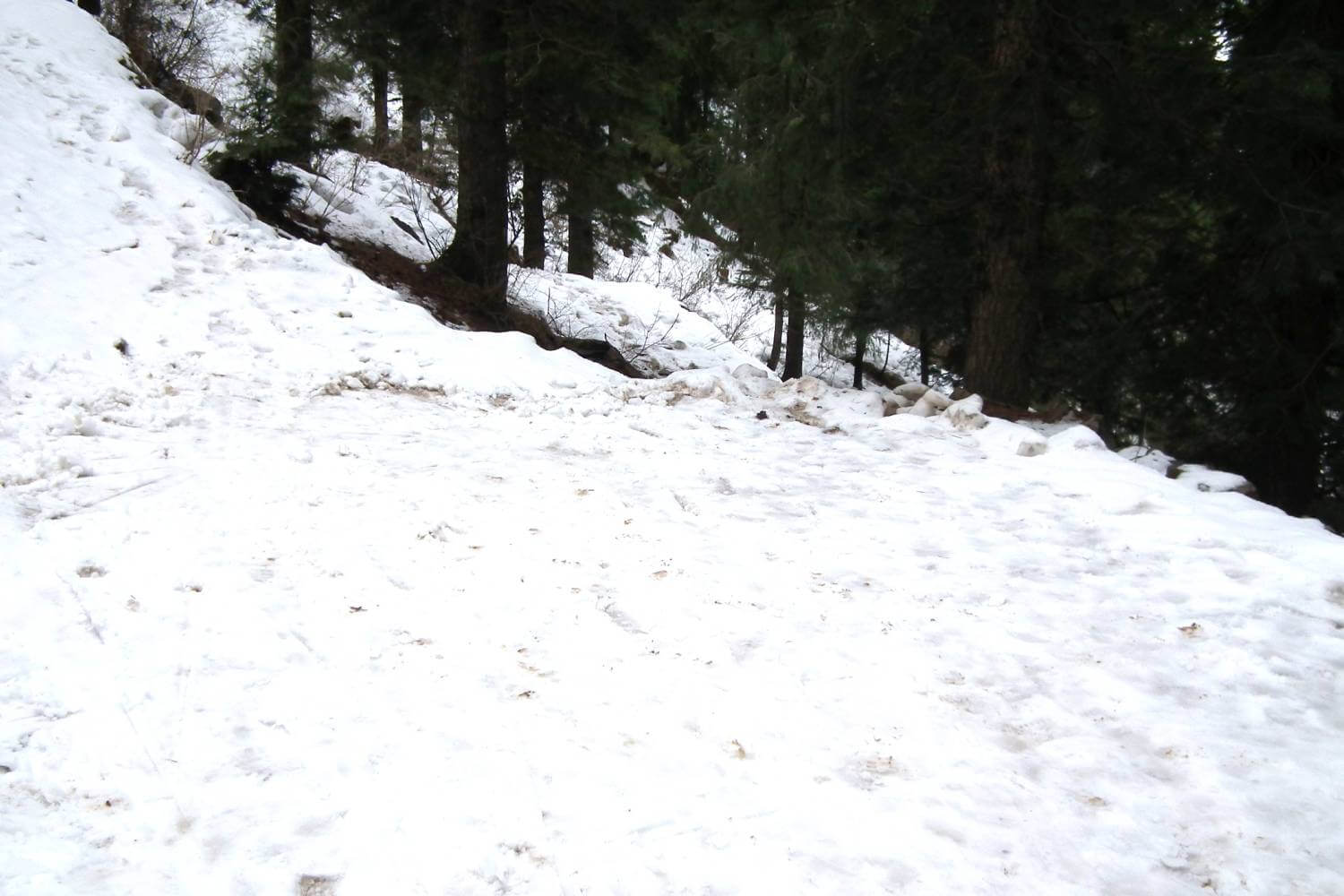 Kufri Snow Tourist Places