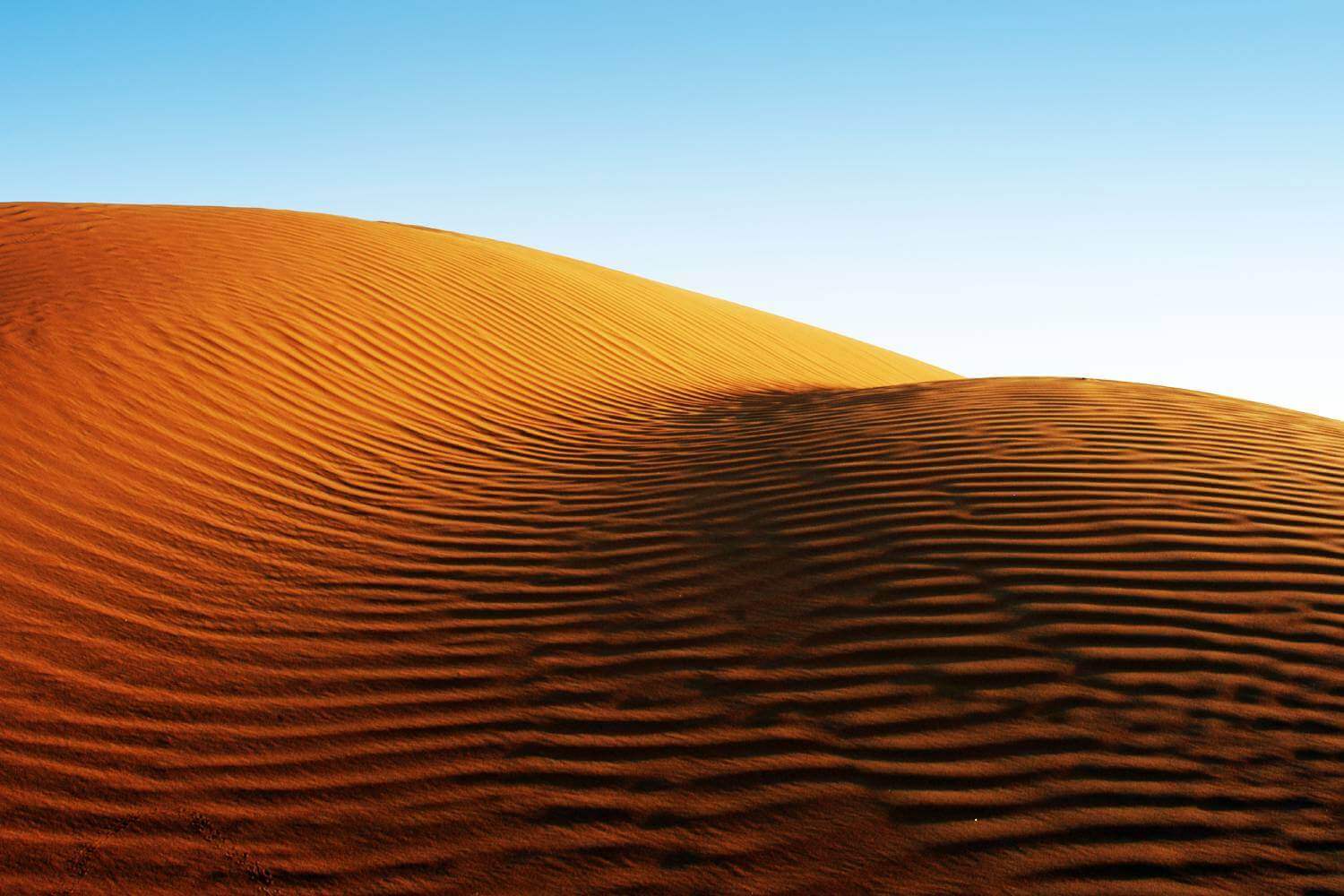 Desert Sand in Abu Dhabi