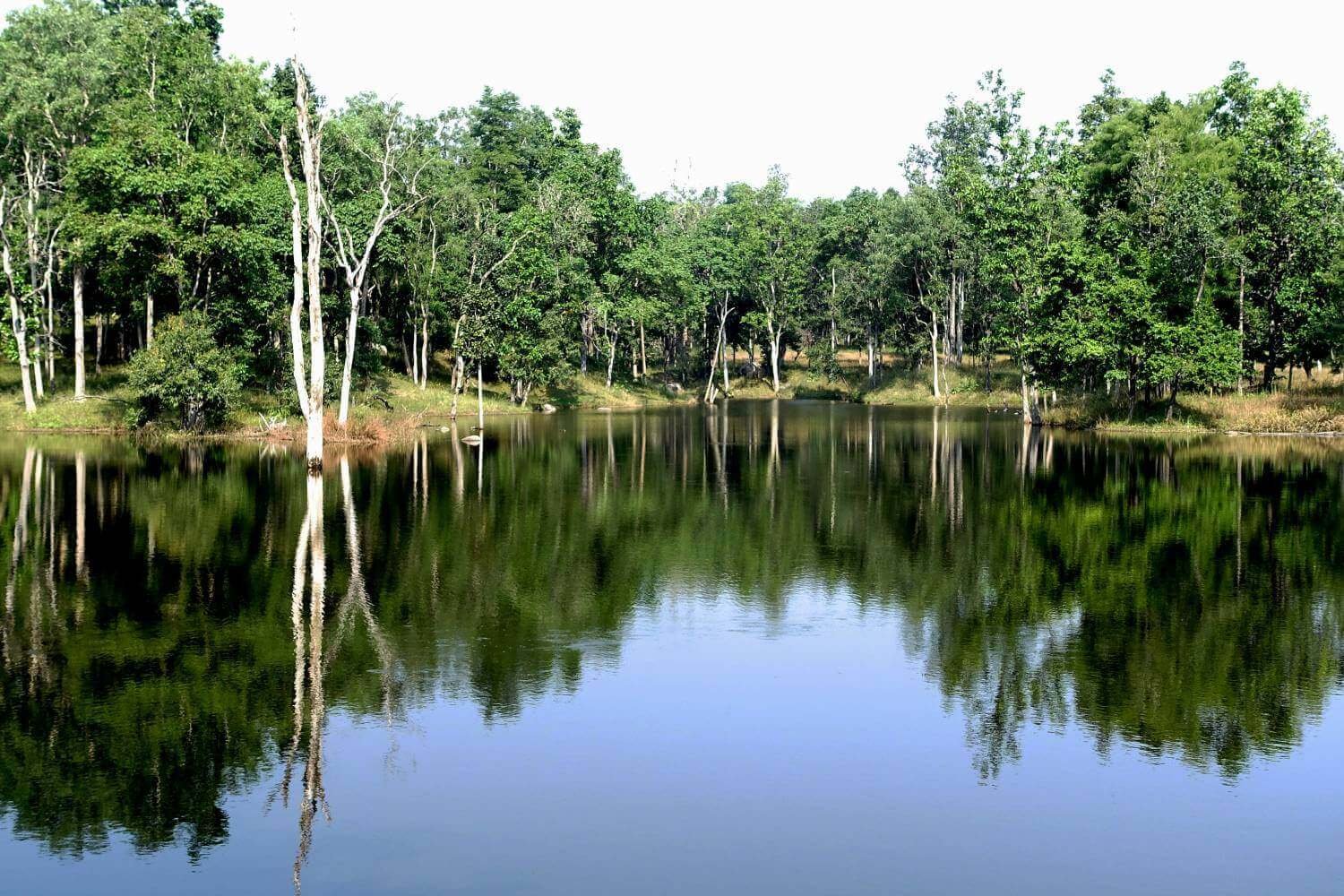 Lake in Pench National Park