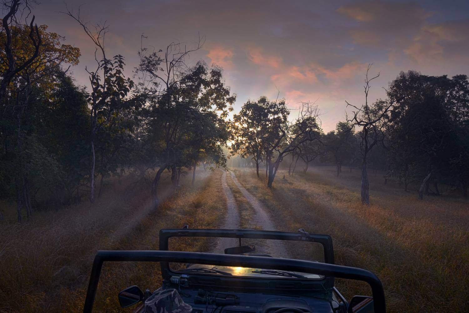 Pench National Park Safari