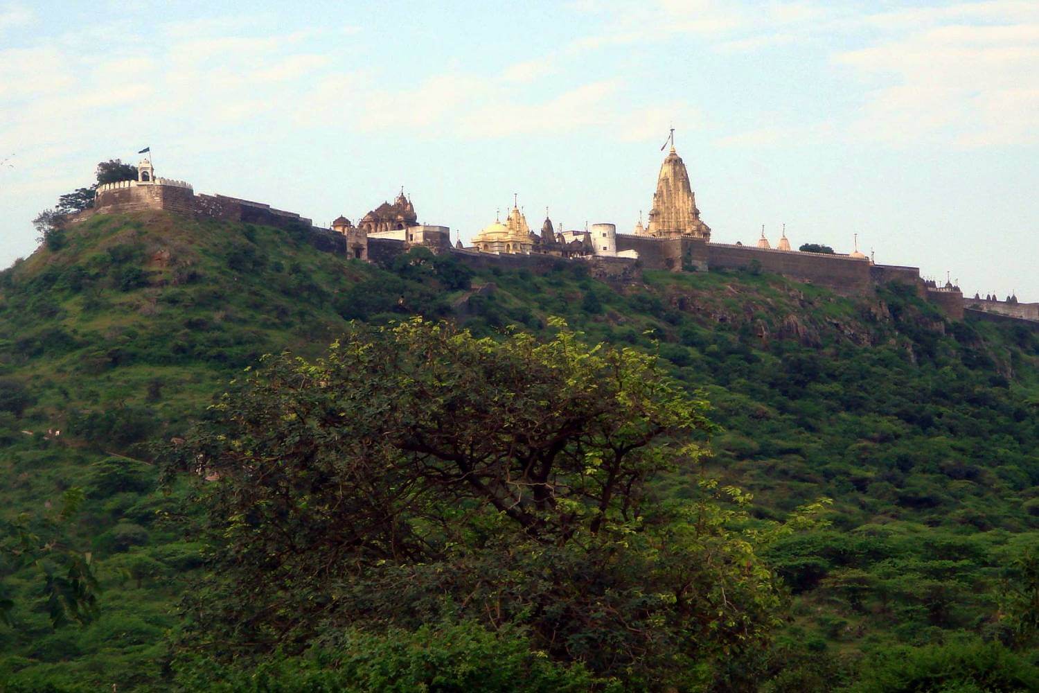 Shatrunjaya Hill Gujarat