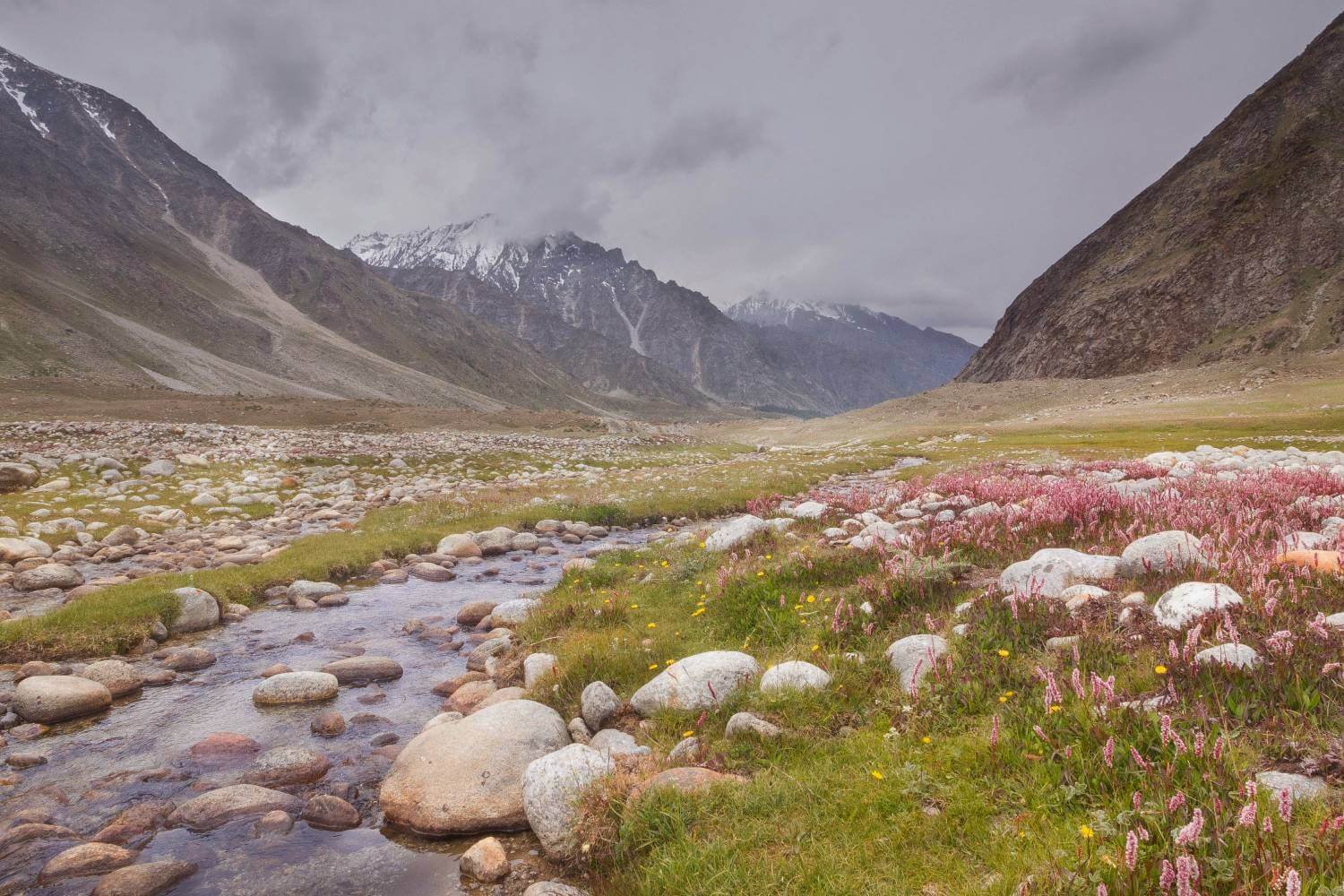 Miyar Valley Himachal Pradesh