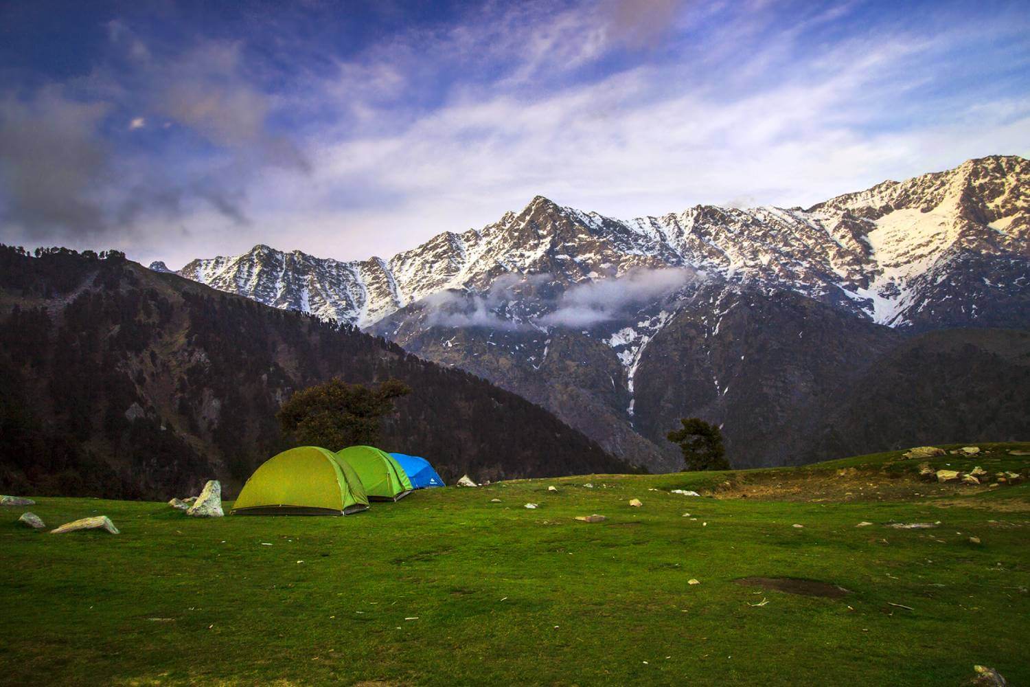 Triund Trek Himachal Pradesh