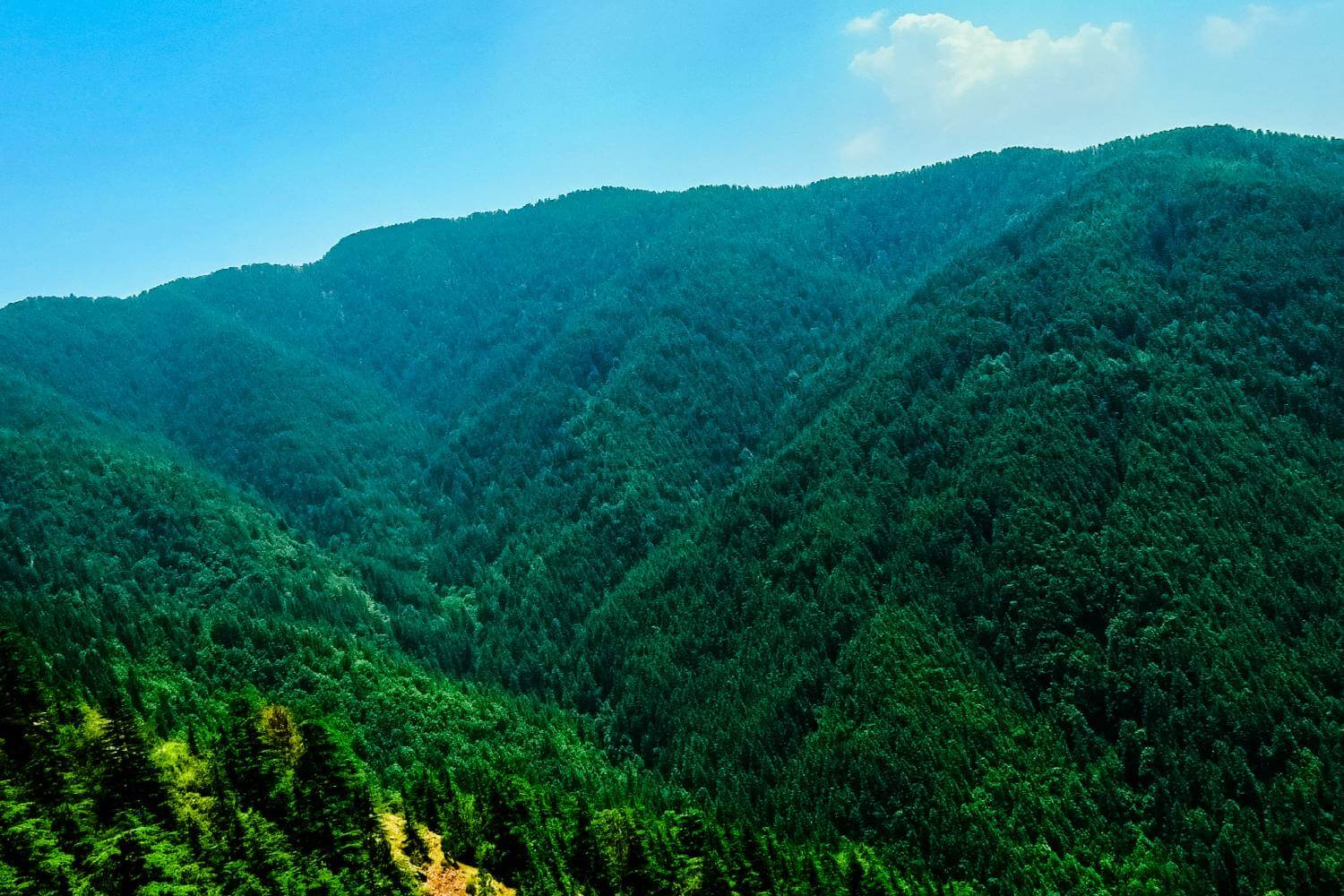 Green Valley Shimla Himachal
