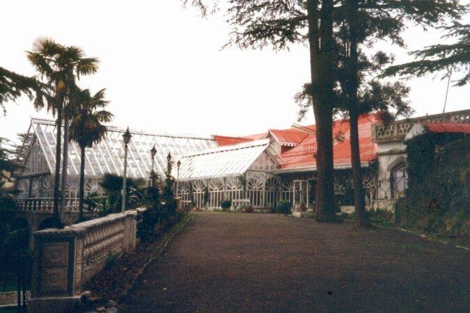 15 Best Places to Visit in Shimla, Himachal Pradesh