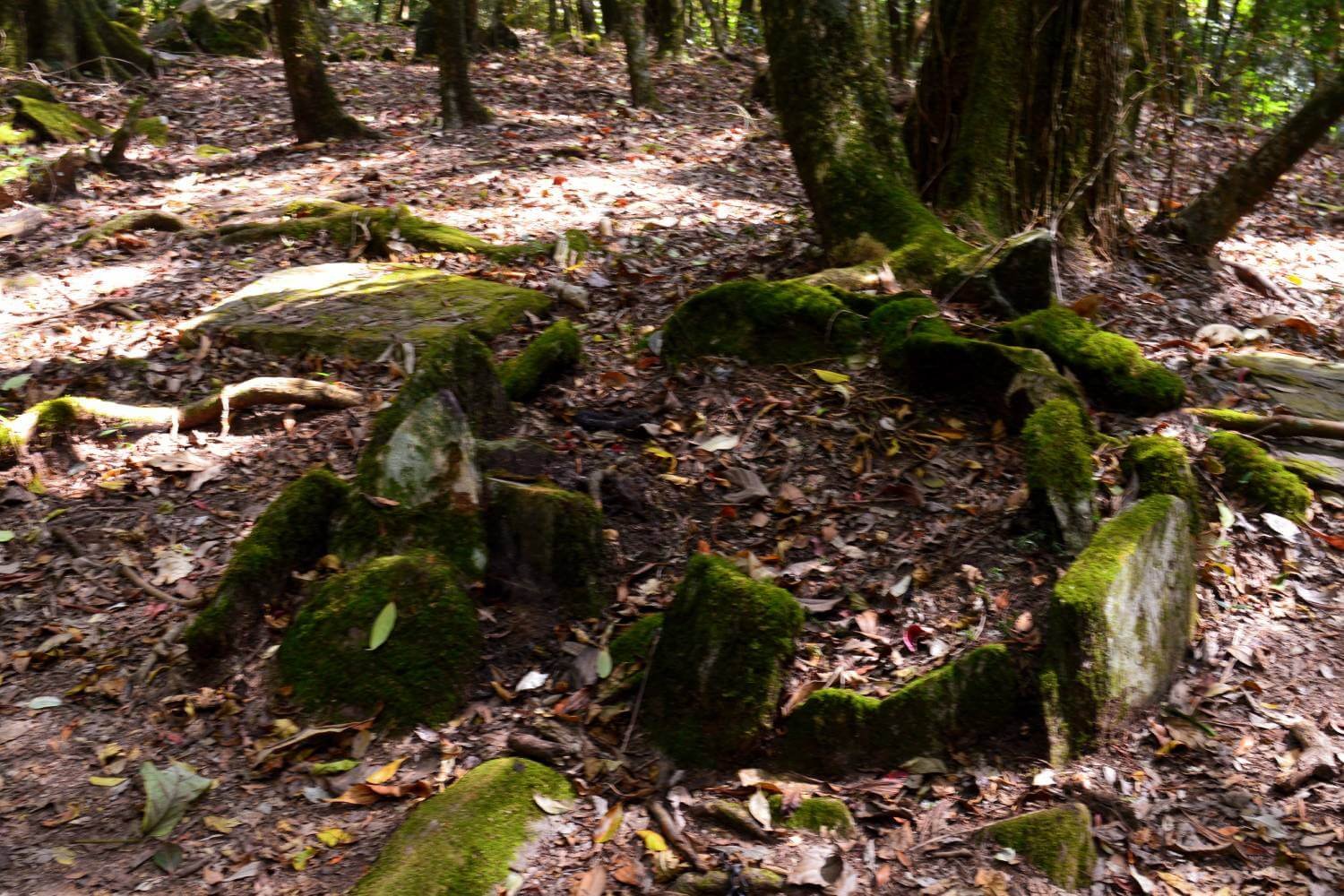 Mawphlang Sacred Groves Meghalaya