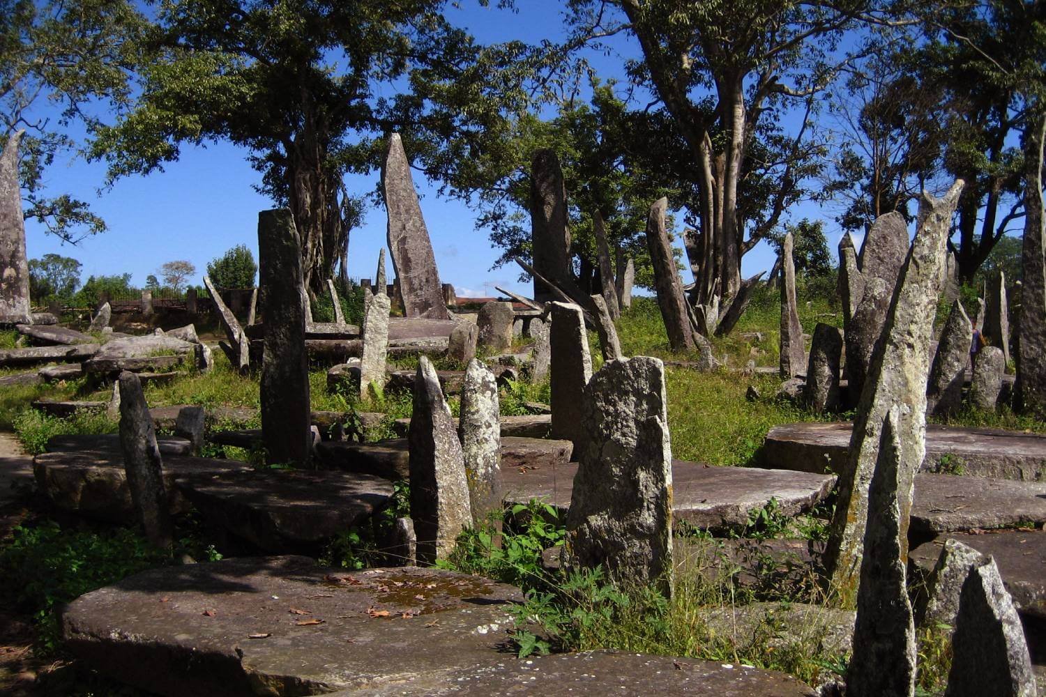 Nartiang Meghalaya