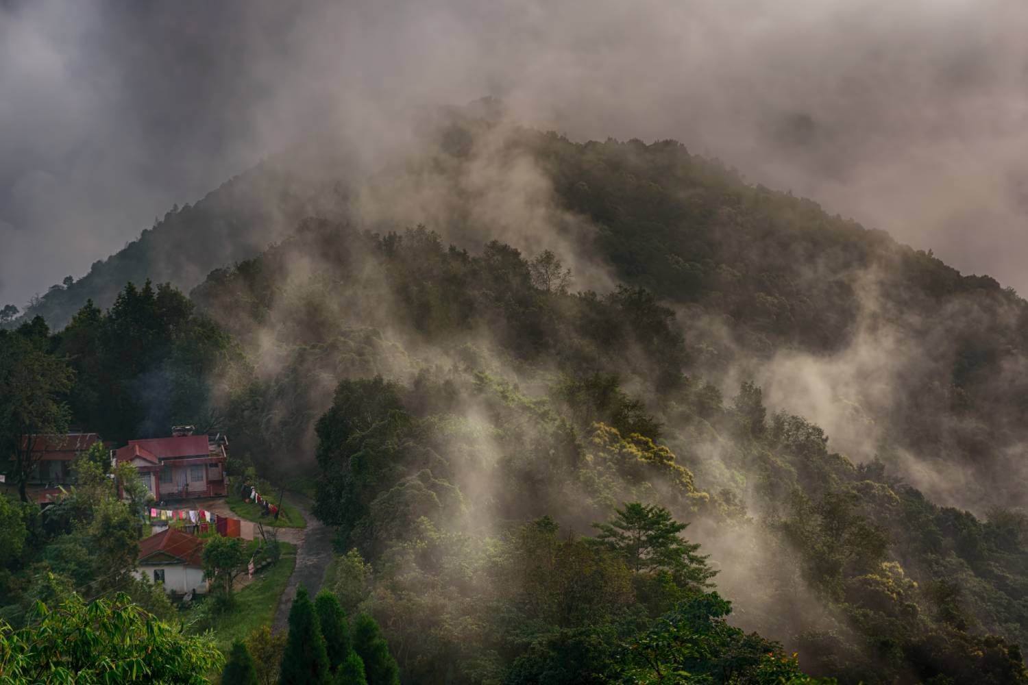 Pynursla Meghalaya