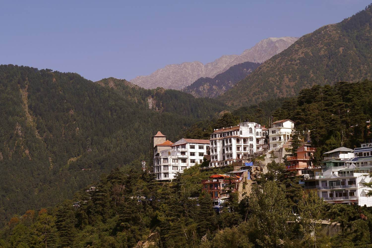 McLeod Ganj Himachal