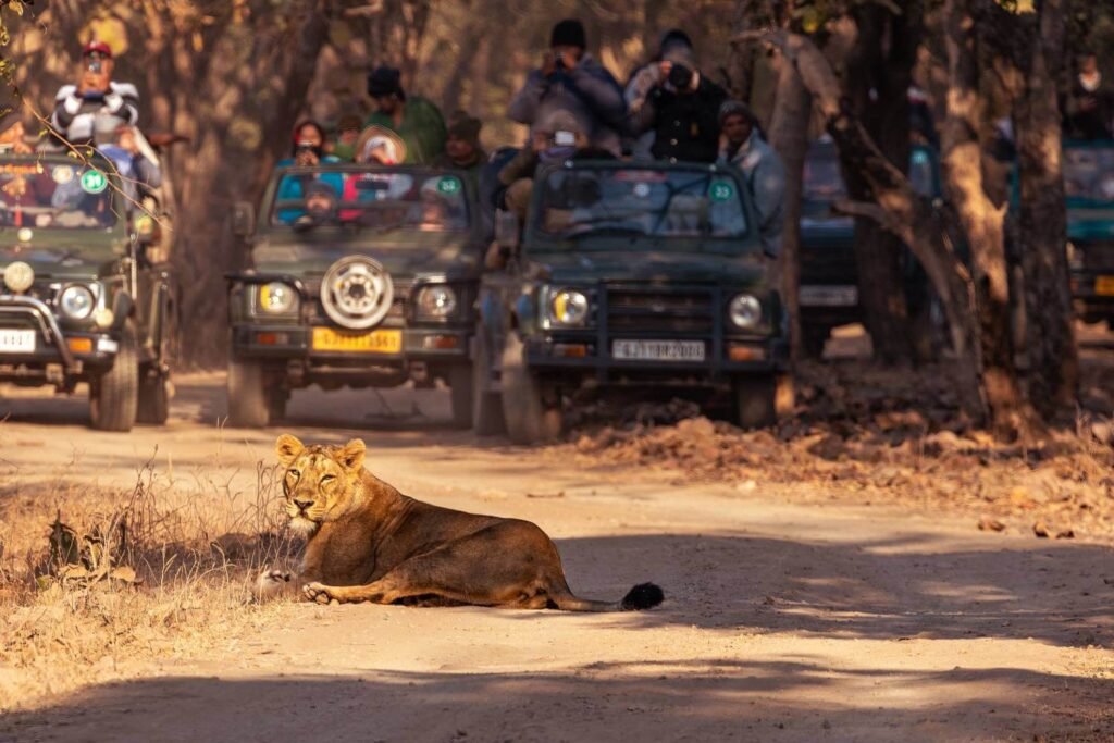 Nearest Airport To Gir National Park www.bontravelindia.com