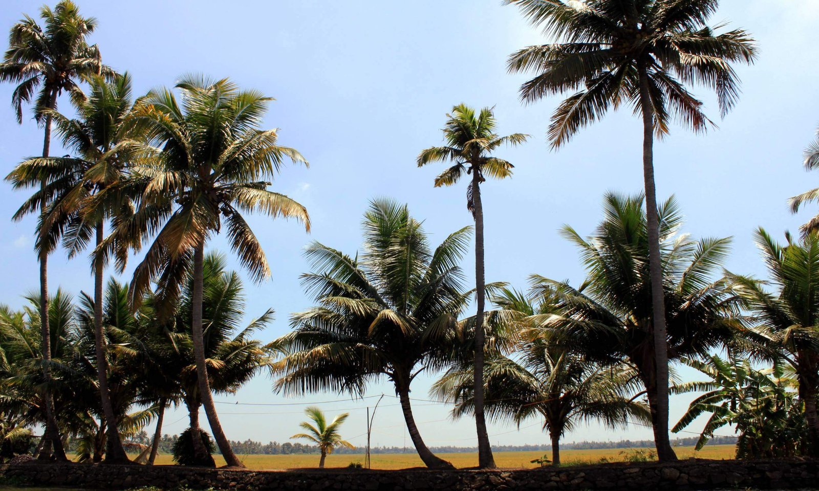 Alleppey Kerala