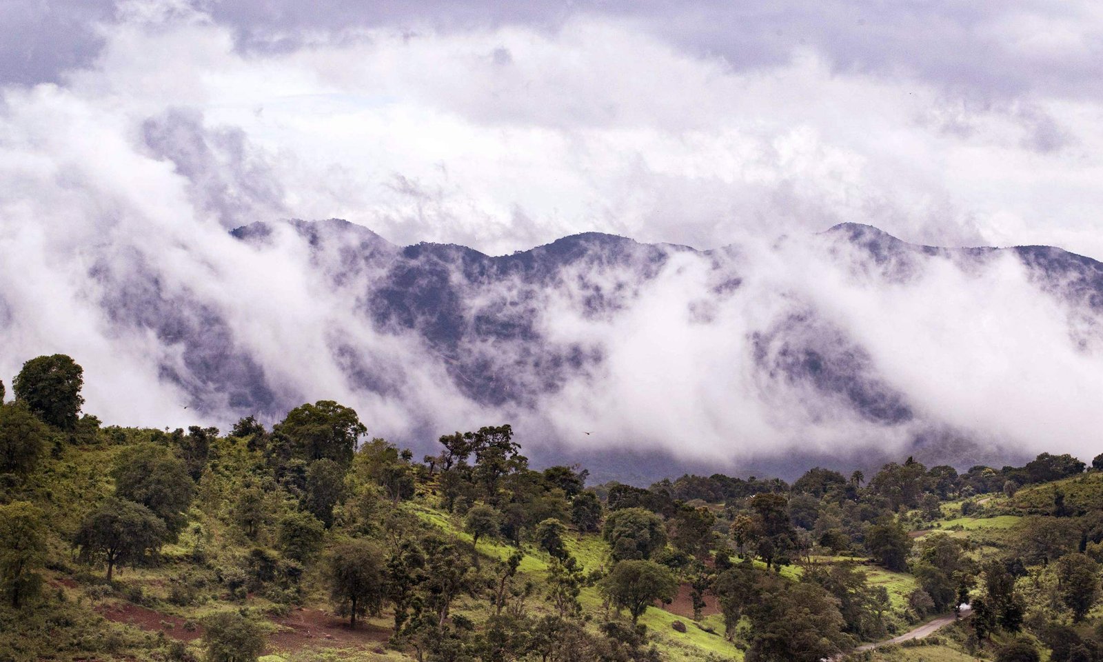 Araku Valley Hill Station - Best Places to Visit in Summer in South India