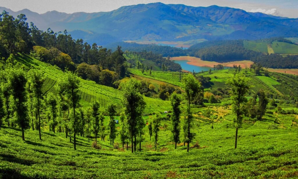 5 Best Tourist Places to Visit in Summer in South India | Bon Travel India