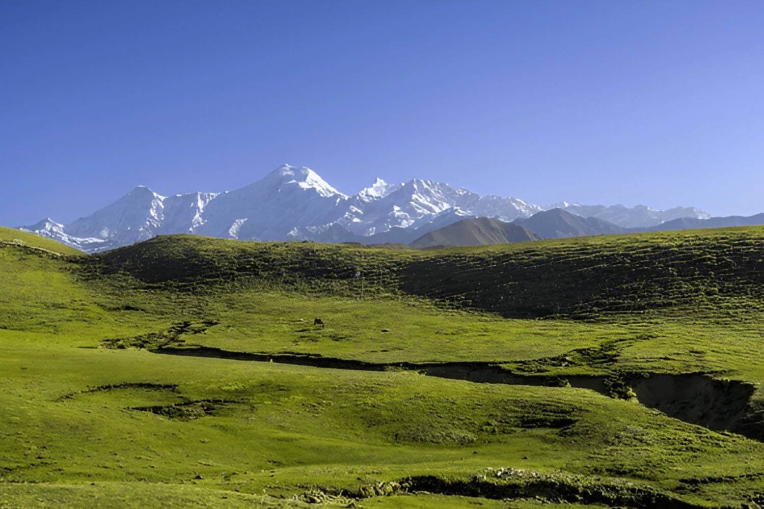 Dayara Bugyal Trek