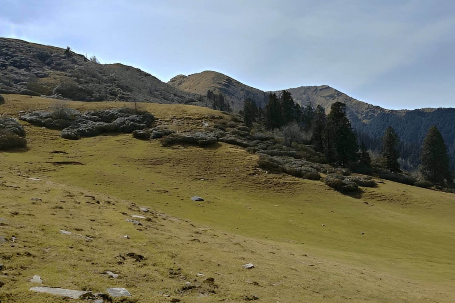 Phulara Ridge Trek