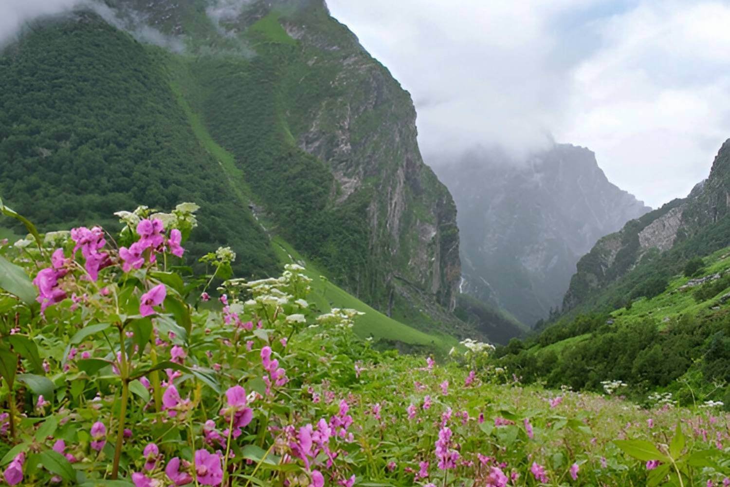 Valley of Flowers Trek
