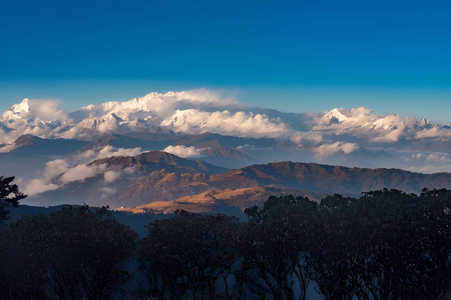 Sandakphu Phalut Trek Sikkim
