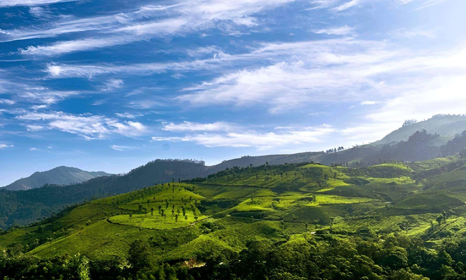 Munnar Kerala