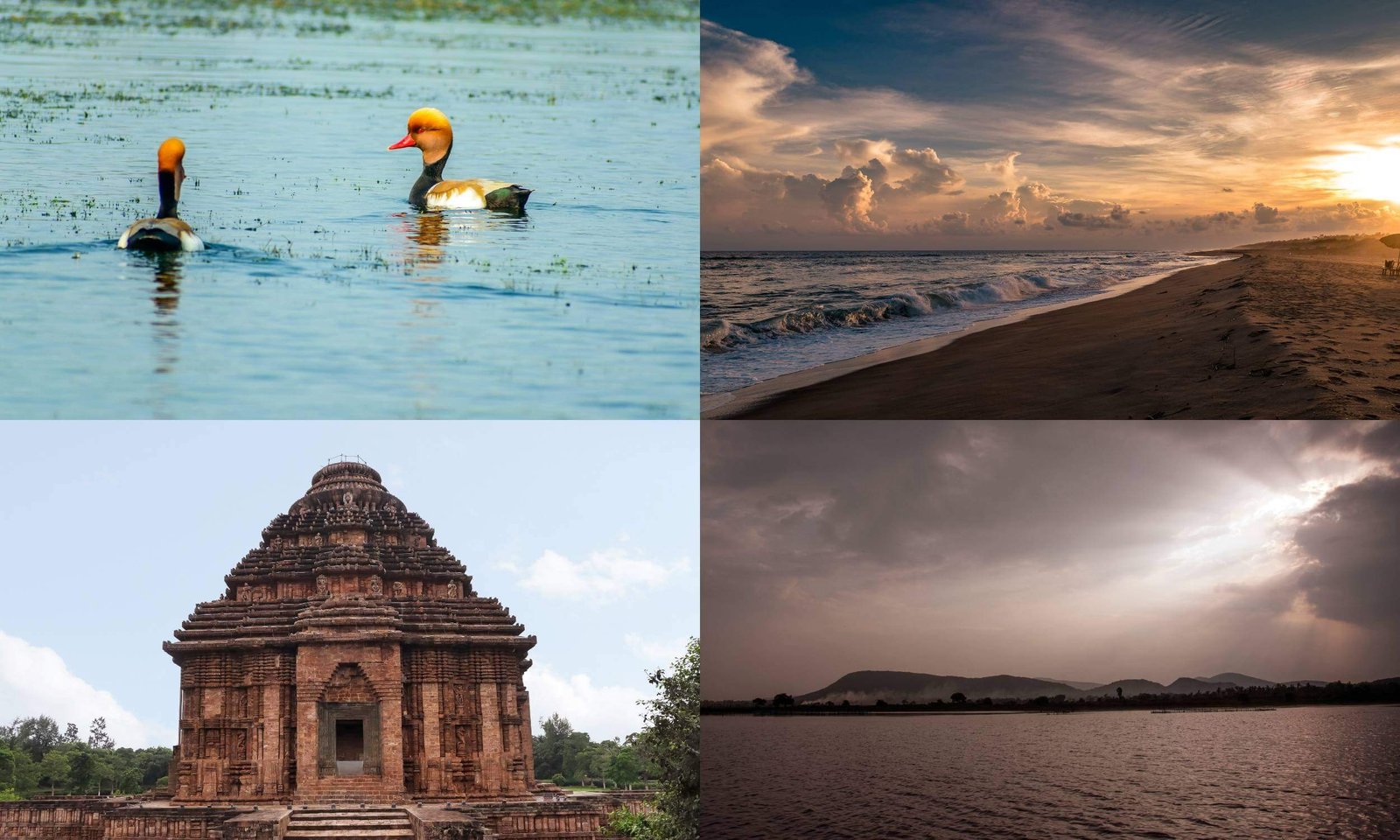 Best Places to Visit Near Jagannath Temple Puri