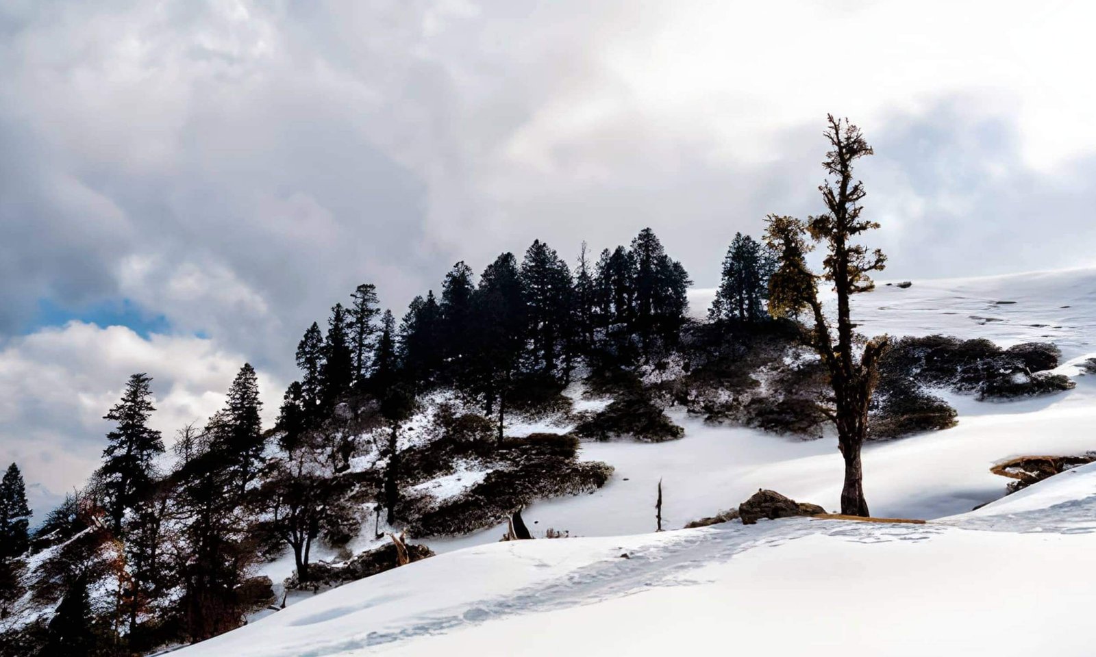 Best Treks for February in Uttarakhand