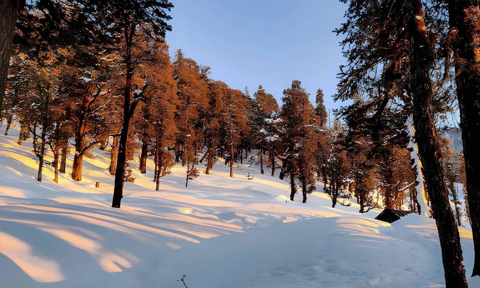 Best Treks for February in Uttarakhand