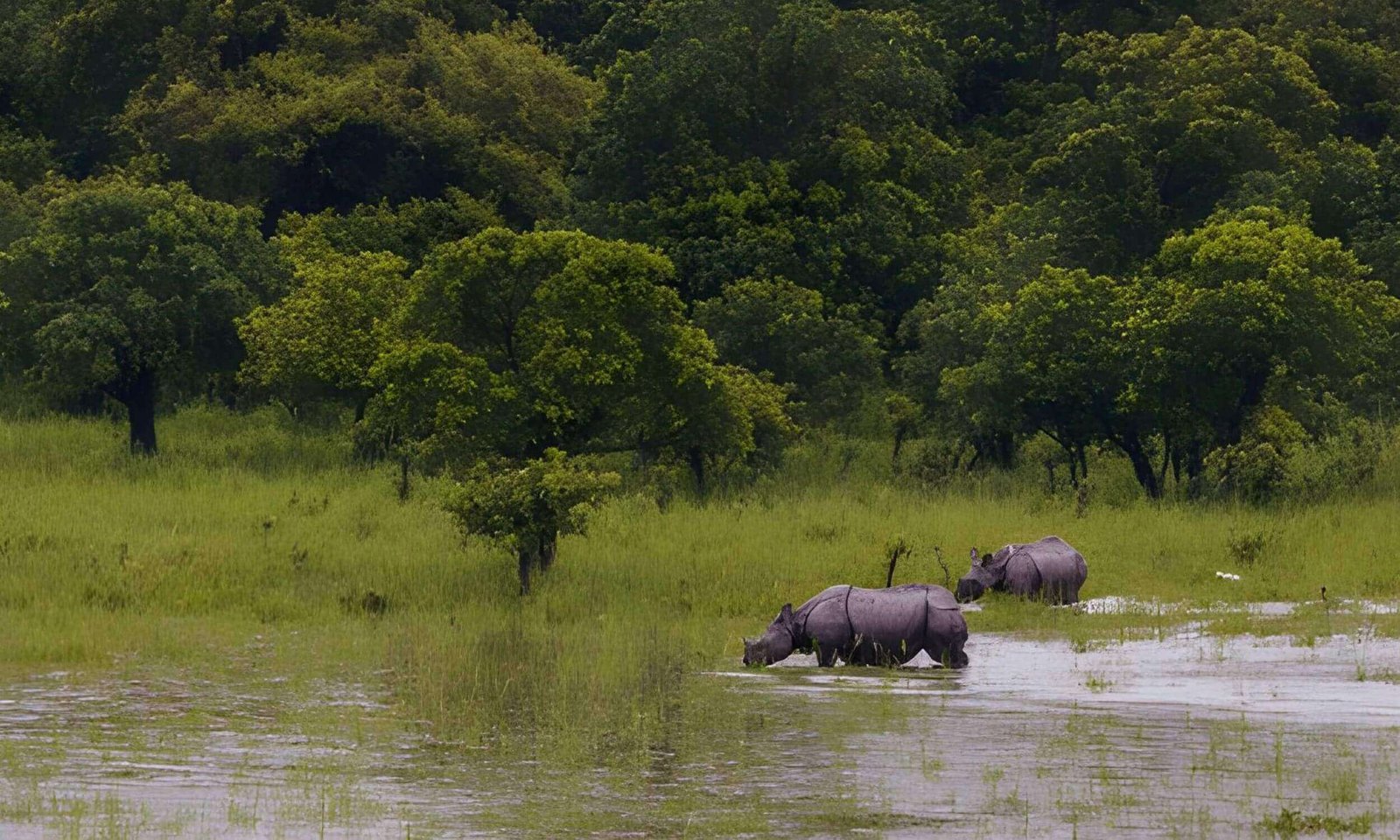 Best Places to Visit in Assam